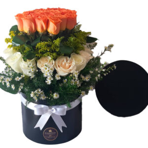 Ramo R066