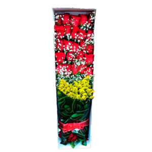 Ramo R023